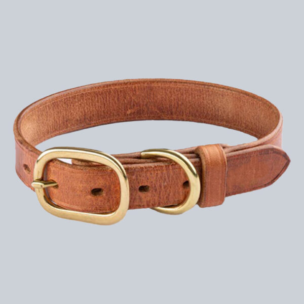 Premium Hermann Oak Leather Leather Dog Collar