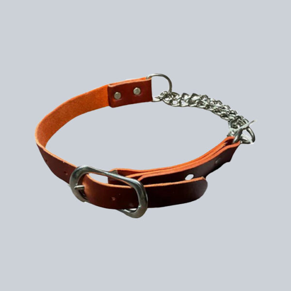 Red Heidy - Leather Martingale Dog Collar