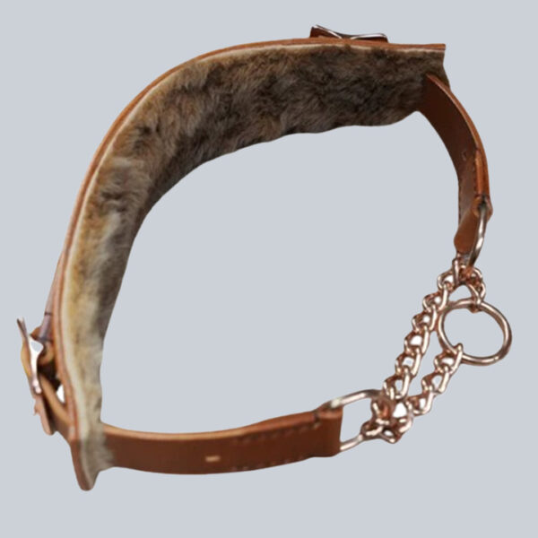 The Presidential Collar — Exclusive to Park Hyatt