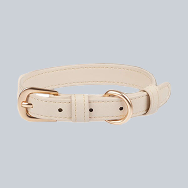 Classic Collar – Vanilla Cream